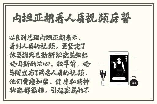 国产高清DVD